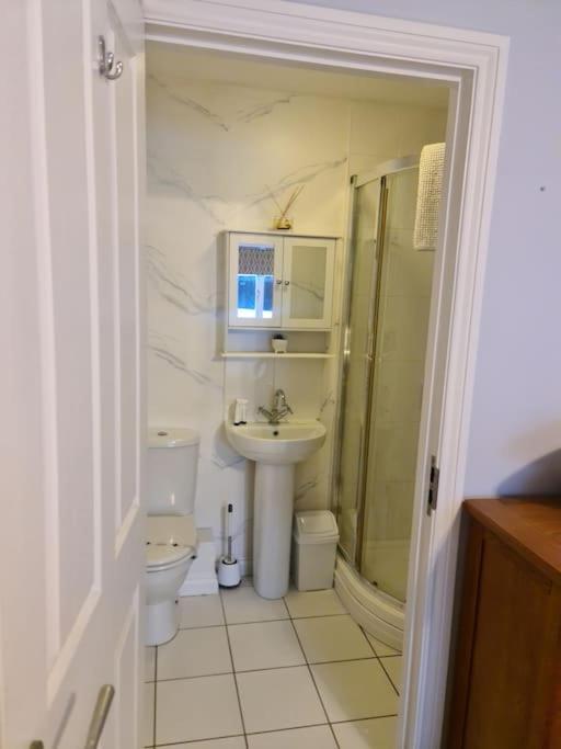 City Centre Top Floor Apartment In Belfast City Centre Zewnętrze zdjęcie